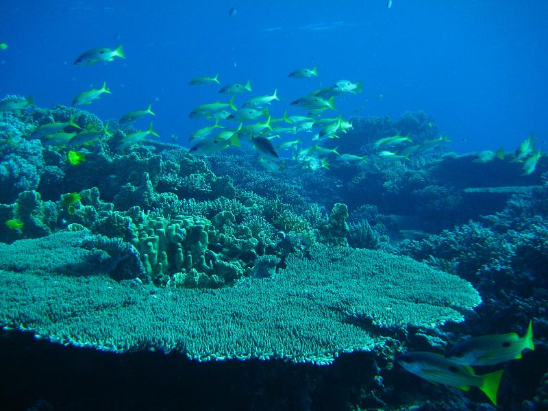 2009-12-05 14-55-50S.JPG